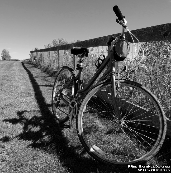 52145CrLeShBw - Biking the waterfront Trail with Beth, toward Cranberry Marsh
